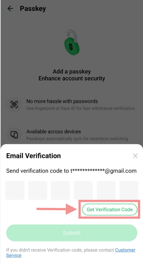 Email Verification Screen